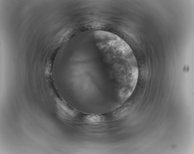 X0000093370181200711011236