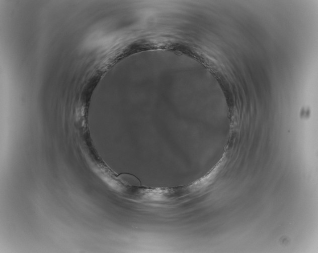 X0000093370182200711011236