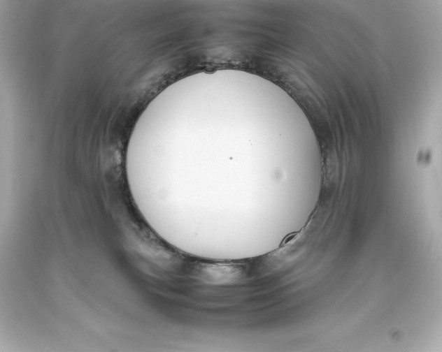 X0000093370183200711011236