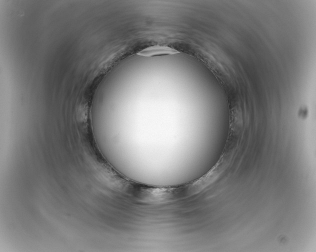 X0000093370184200711011236