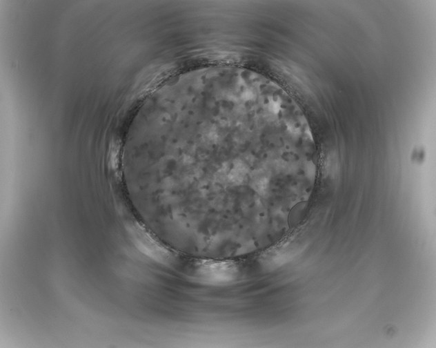 X0000093370185200711011236