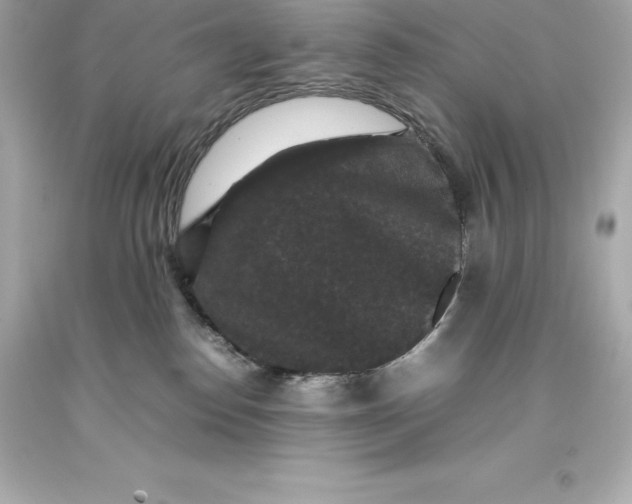 X0000093370186200711011236