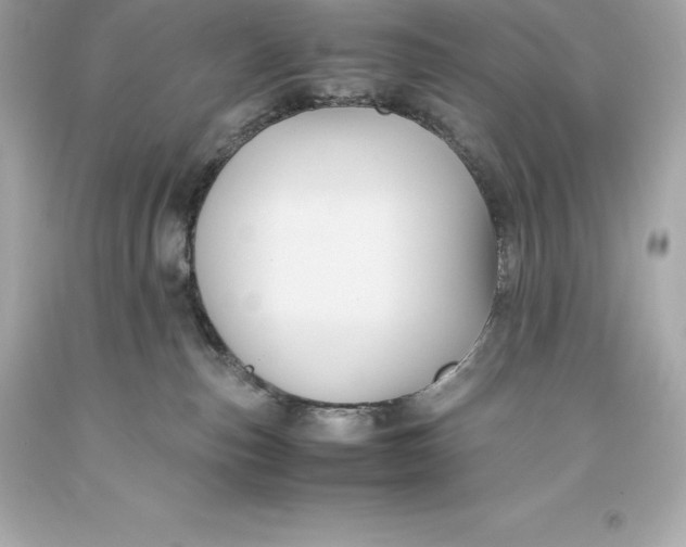 X0000093370187200711011236