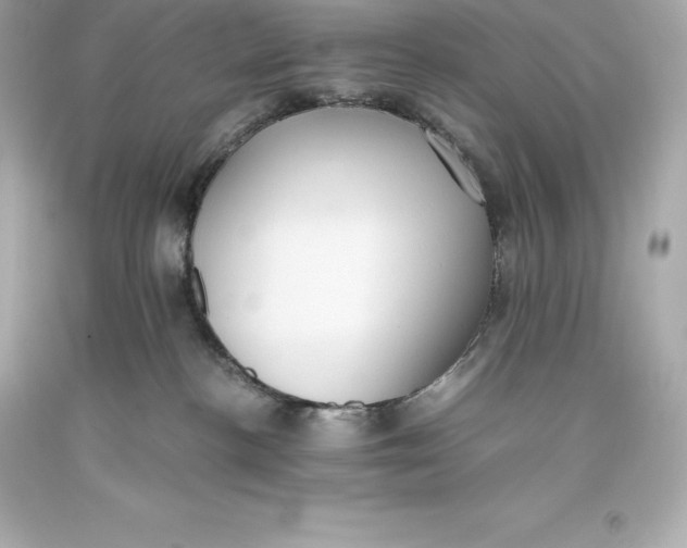 X0000093370188200711011236