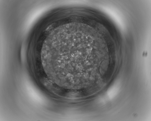 X0000093370189200711011236