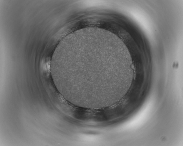 X0000093370190200711011236