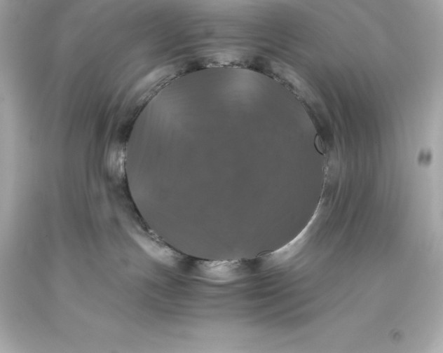 X0000093370191200711011236