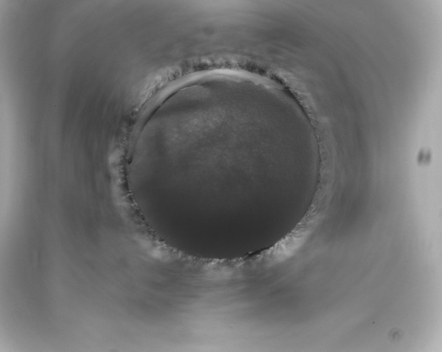 X0000093370192200711011236