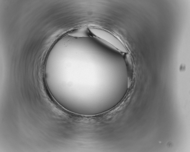 X0000093370193200711011235