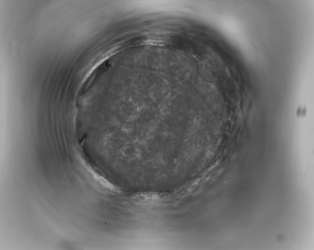 X0000093370194200711011235