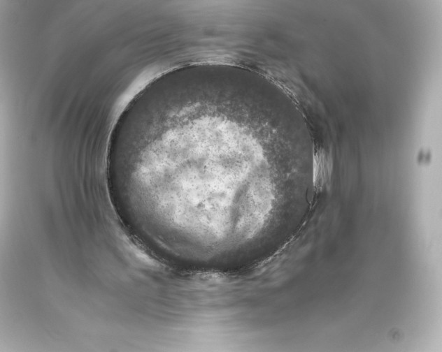 X0000093370195200711011235