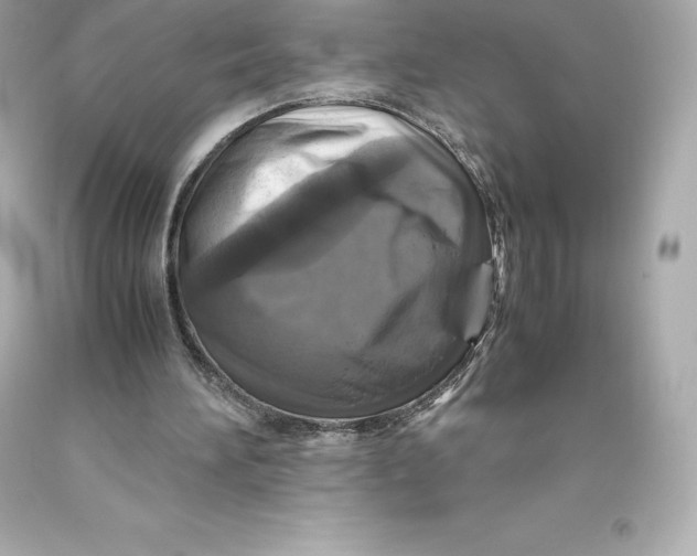 X0000093370196200711011235