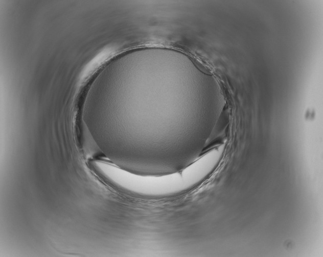 X0000093370197200711011235