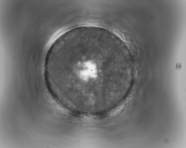 X0000093370199200711011235