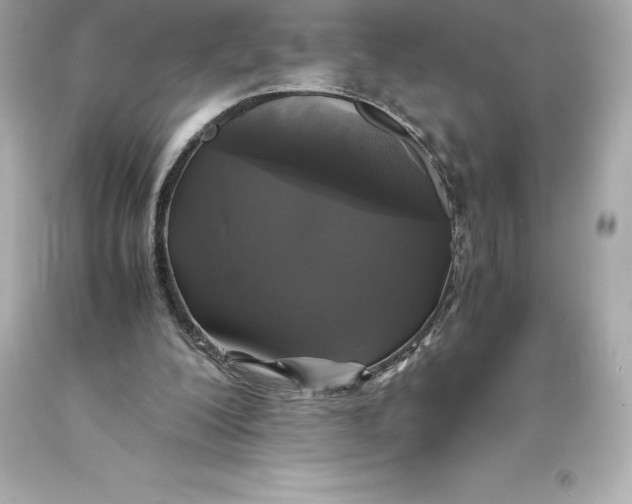 X0000093370200200711011235