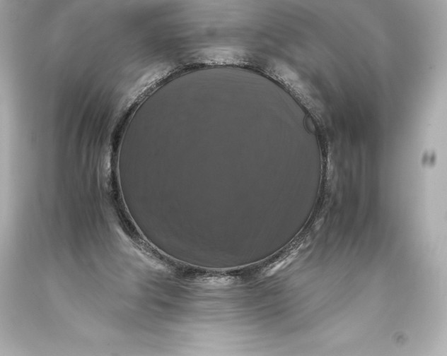 X0000093370202200711011235