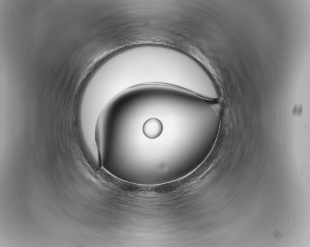 X0000093370203200711011235