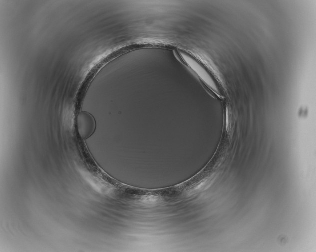 X0000093370204200711011235