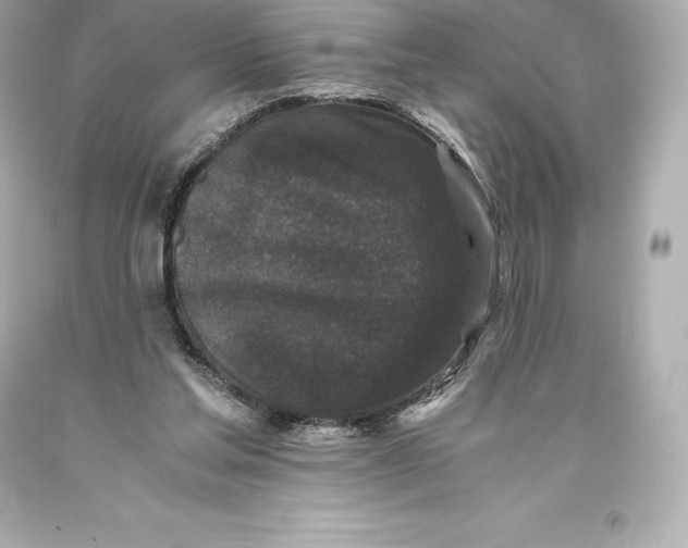 X0000093370205200711011235