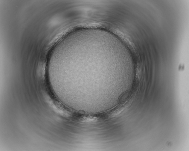 X0000093370206200711011235