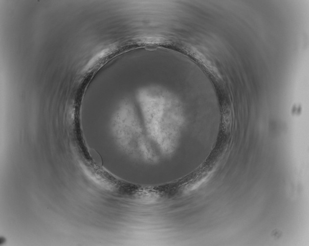 X0000093370207200711011235