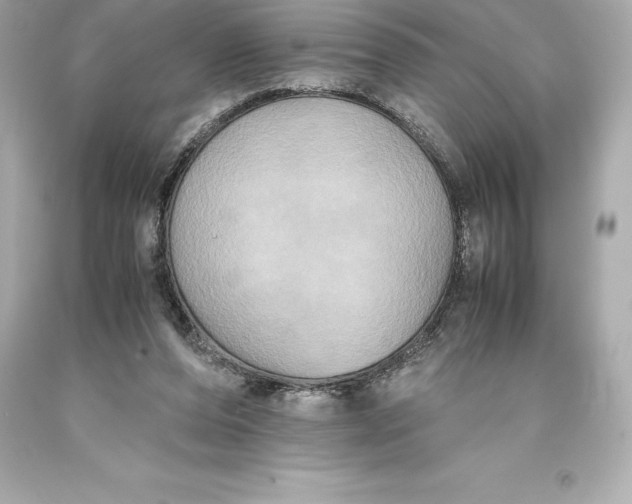 X0000093370208200711011235