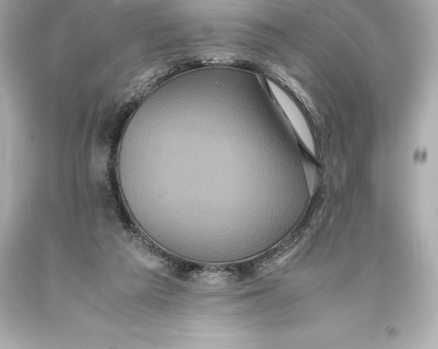 X0000093370209200711011235