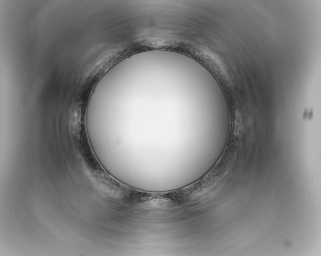 X0000093370210200711011235