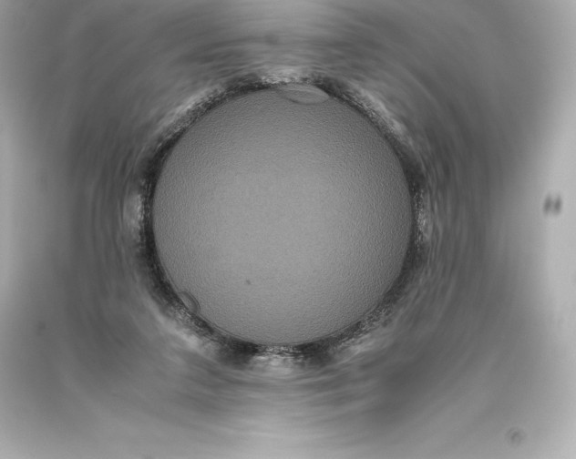 X0000093370211200711011235