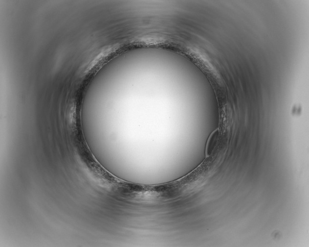 X0000093370212200711011235