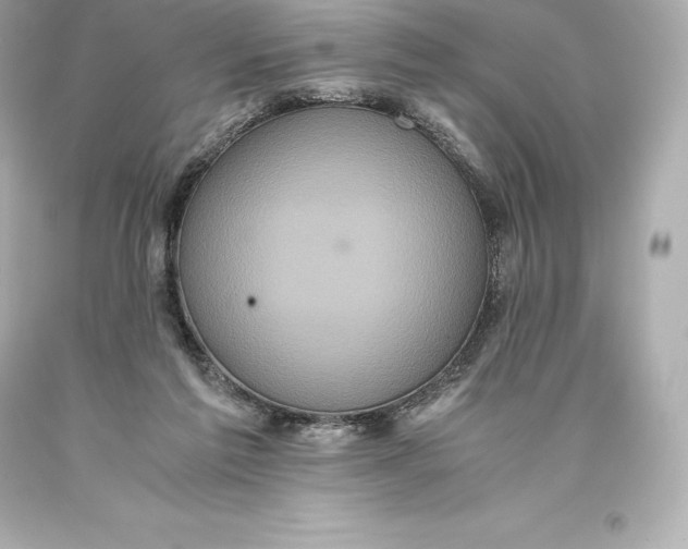 X0000093370213200711011235