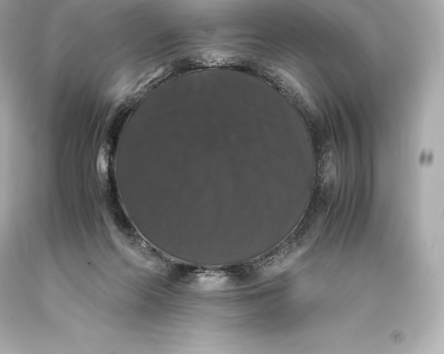 X0000093370214200711011235