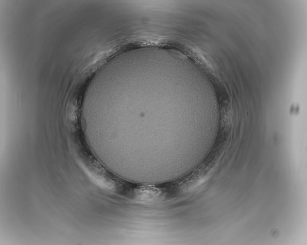 X0000093370215200711011235