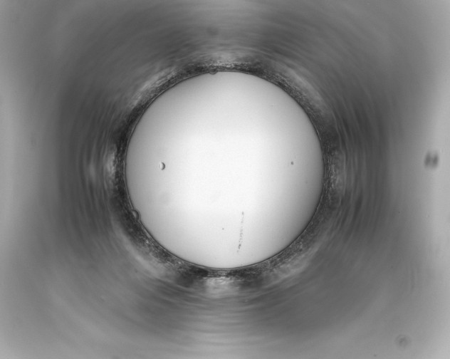 X0000093370216200711011235