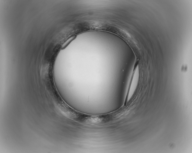 X0000093370217200711011235