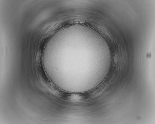 X0000093370218200711011235