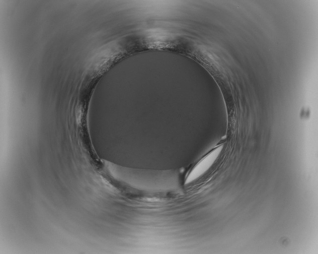 X0000093370219200711011235