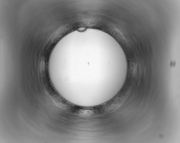 X0000093370220200711011235