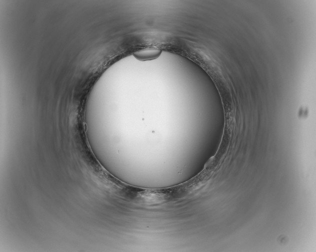 X0000093370221200711011235