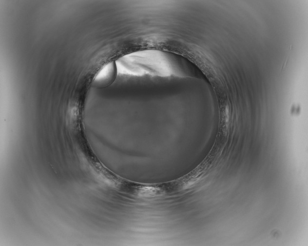 X0000093370222200711011235