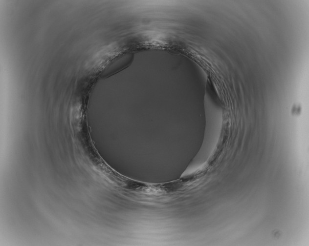 X0000093370223200711011235