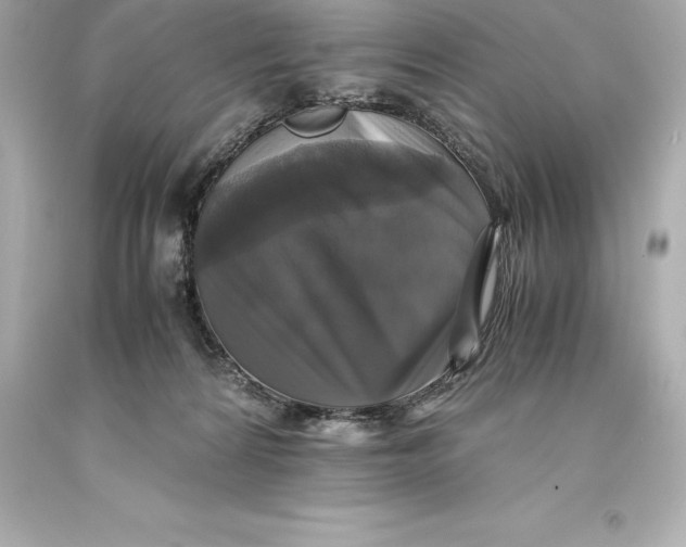 X0000093370224200711011235