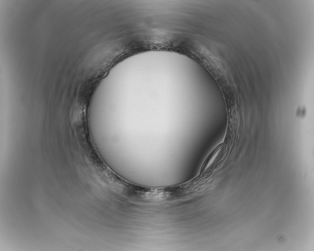 X0000093370225200711011235