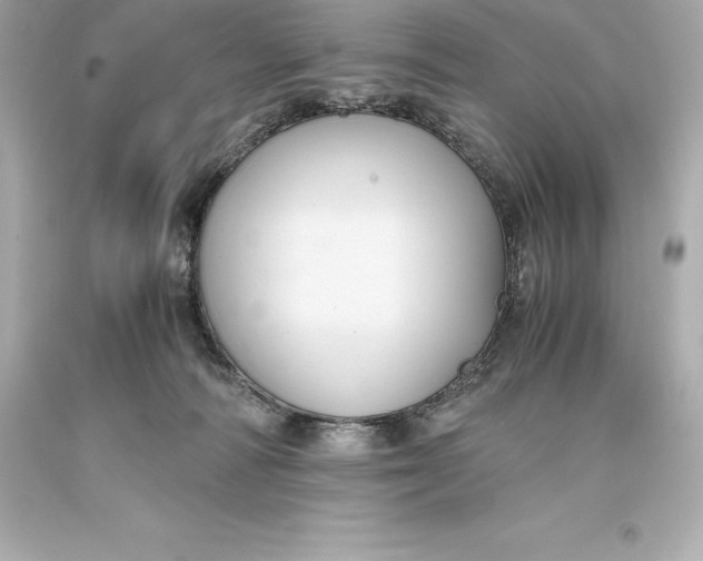 X0000093370226200711011235