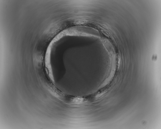 X0000093370227200711011235