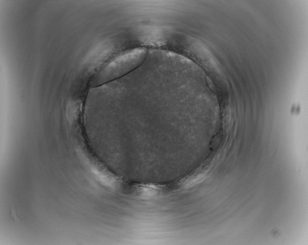 X0000093370229200711011235