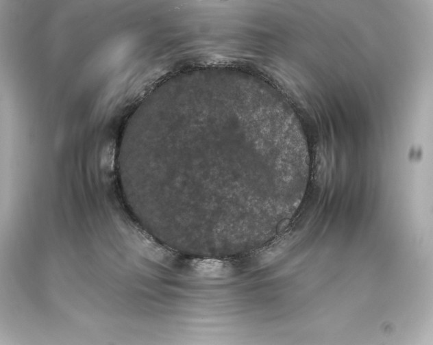 X0000093370230200711011235