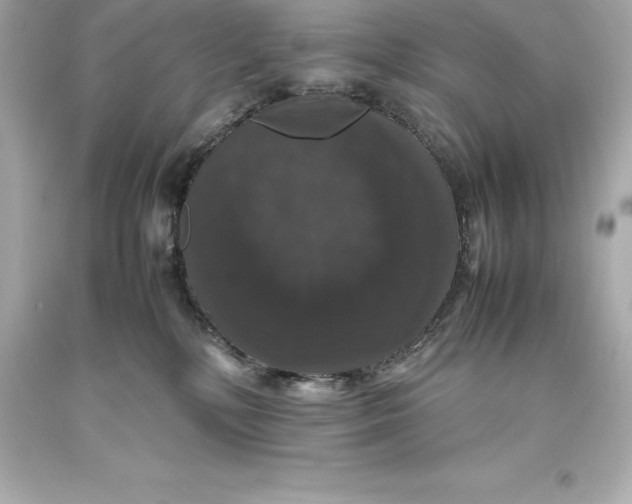 X0000093370232200711011235