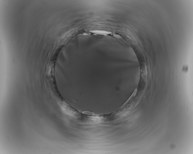 X0000093370233200711011235