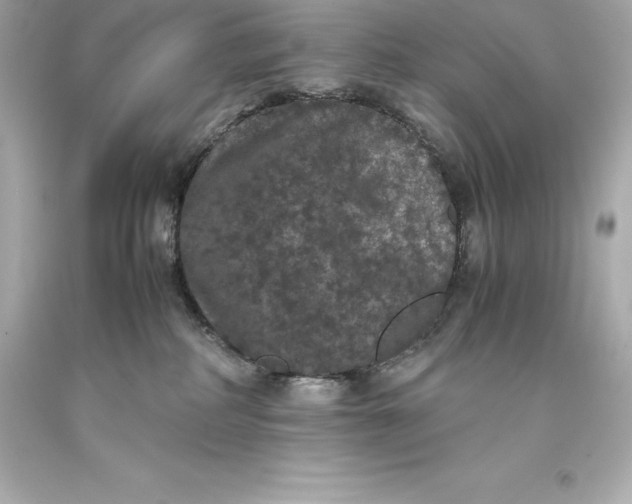 X0000093370234200711011235